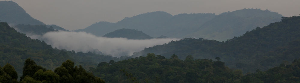 Silverback Lodge Buhoma Extérieur photo